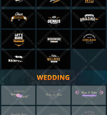 FCPX插件 222款現(xiàn)代時(shí)尚卡通婚禮能量復(fù)古商務(wù)文字標(biāo)題排版動(dòng)畫(huà)